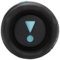 JBL Flip 7 Waterproof Bluetooth Wireless Speaker - Funky Black