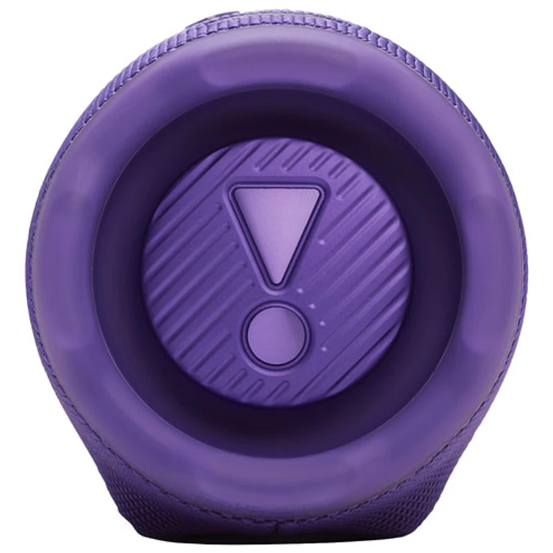 JBL Charge 6 Waterproof Bluetooth Wireless Speaker - Purple