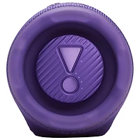 JBL Charge 6 Waterproof Bluetooth Wireless Speaker - Purple