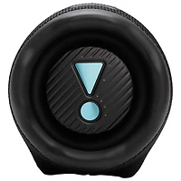 JBL Charge 6 Waterproof Bluetooth Wireless Speaker - Funky Black