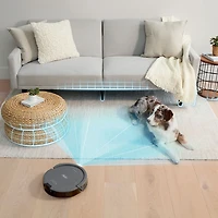 Aspirateur robot Wi-Fi Navigator de SHARK - Gris