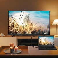 Câble DisplayPort de 1,8 m (6 pi) d'Insignia (NS-PCDPDP626-C) - Exclusivité Best Buy