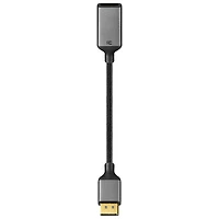 Adaptateur 8K DisplayPort 1.4 à HDMI 2.1 d'Insignia (NS-PCDPHDAB26-C) - Exclusivité Best Buy