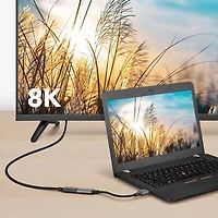 Insignia Display Port 1.4 to HDMI 2.1 8K Adapter (NS-PCDPHDAB26-C) - Only at Best Buy