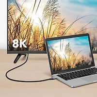 Insignia 1.83m (6 ft.) DisplayPort 1.4 to 8K Ultra HD HDMI Cable - Only at Best Buy