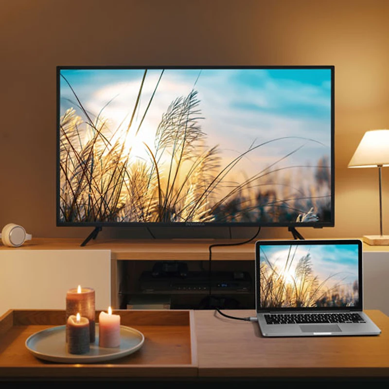 Insignia 1.83m (6 ft.) DisplayPort 1.4 to 8K Ultra HD HDMI Cable - Only at Best Buy