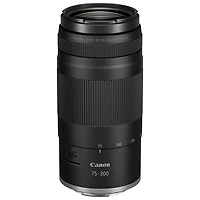Objectif à moteur c.c. RF 75-300 mm f/4-5,6 de Canon - Noir