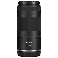Objectif à moteur c.c. RF 75-300 mm f/4-5,6 de Canon - Noir