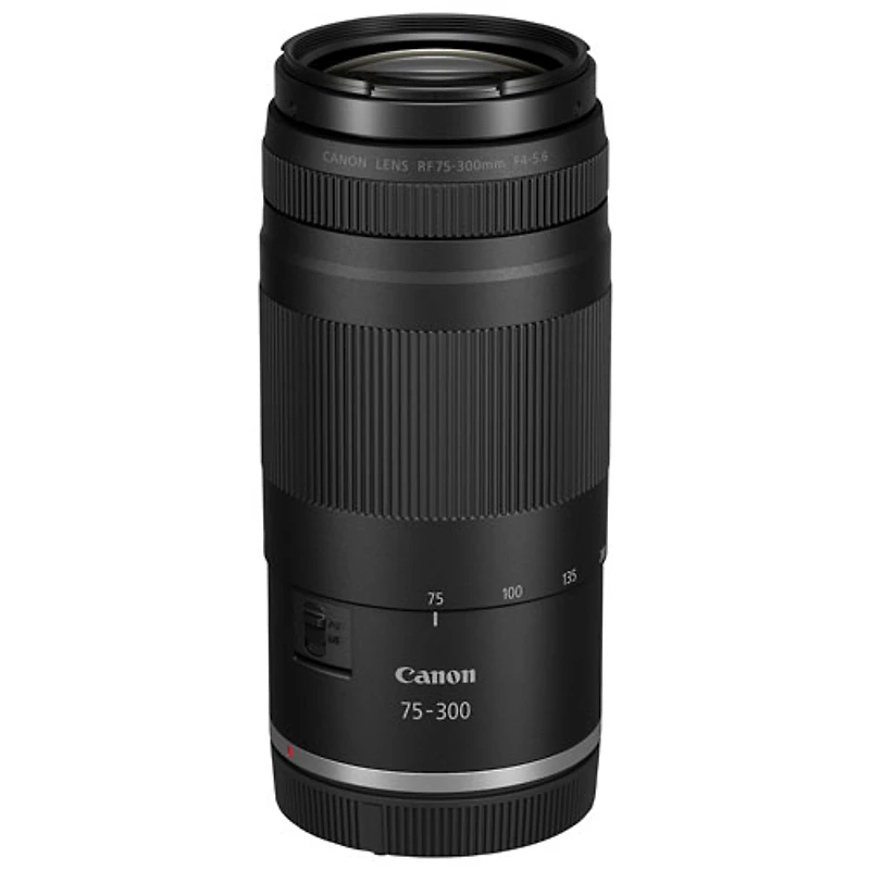 Objectif à moteur c.c. RF 75-300 mm f/4-5,6 de Canon - Noir