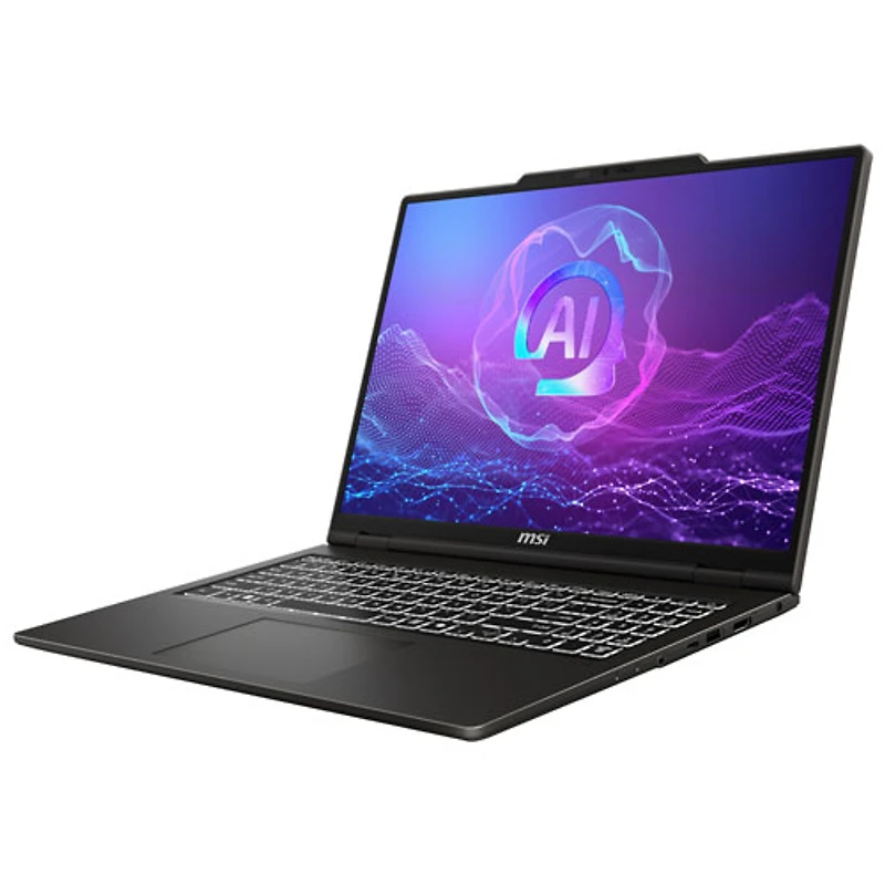 Portable de 16 po VenturePro de MSI - Gris (Core 9 - 270H Intel/RAM 32 Go/SSD 1 To/RTX 5060/Windows 11)
