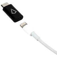 Adaptateur USB-C à Lightning de LBT (LBTLCADP)