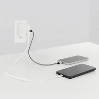Chargeur mural USB-C PD de 45 W avec câble rétractable intégré de LBT (LBTPD20W)