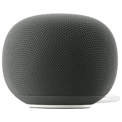 Google Home Audio Smart Speaker with Google Assistant - Hazel - Coming Spring 2026