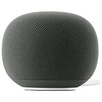Google Home Audio Smart Speaker with Google Assistant - Hazel - Coming Spring 2026