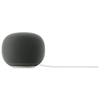 Google Home Audio Smart Speaker with Google Assistant - Hazel - Coming Spring 2026