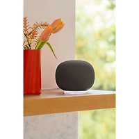 Google Home Audio Smart Speaker with Google Assistant - Hazel - Coming Spring 2026