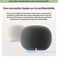 Google Home Audio Smart Speaker with Google Assistant - Hazel - Coming Spring 2026