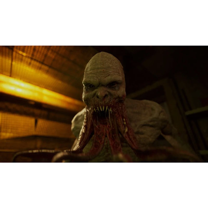 S.T.A.L.K.E.R. 2 : Heart of Chornobyl (PS5)