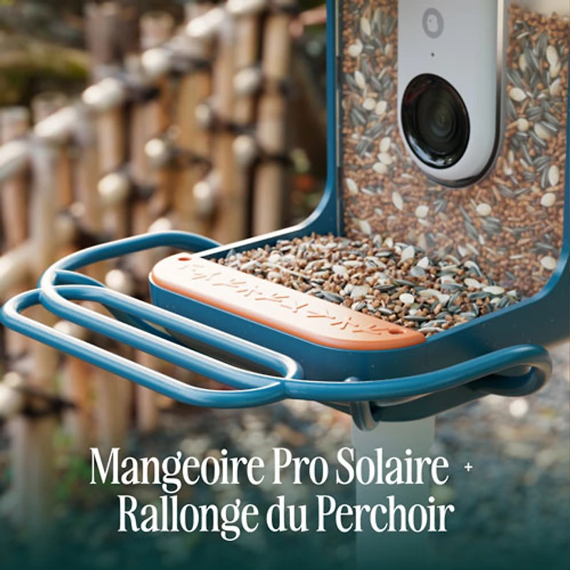 Mangeoire à oiseaux intelligente à énergie solaire Pro avec caméra et extension de perchoir de Bird Buddy - Bleu - Partenaire de détail exclusif