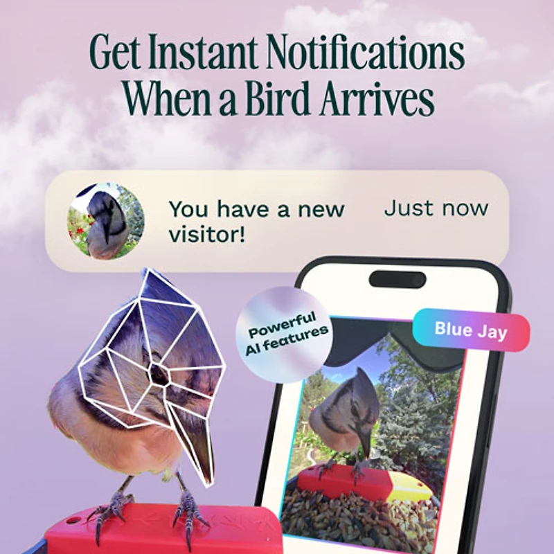 Mangeoire à oiseaux intelligente à énergie solaire Pro avec caméra et extension de perchoir de Bird Buddy - Bleu - Partenaire de détail exclusif