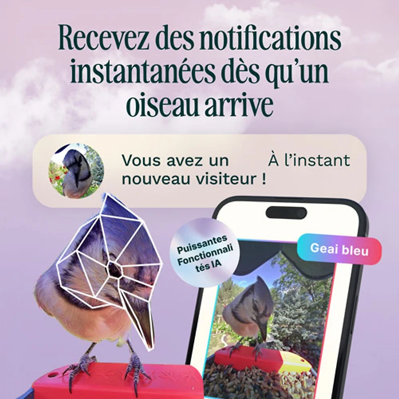 Mangeoire à oiseaux intelligente à énergie solaire Pro avec caméra et extension de perchoir de Bird Buddy - Bleu - Partenaire de détail exclusif