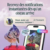 Mangeoire à oiseaux intelligente à énergie solaire Pro avec caméra et extension de perchoir de Bird Buddy - Bleu - Partenaire de détail exclusif