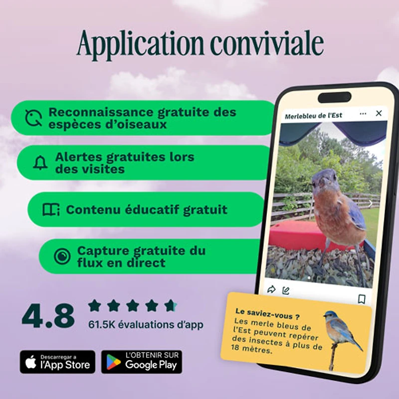 Mangeoire à oiseaux intelligente à énergie solaire Pro avec caméra et extension de perchoir de Bird Buddy - Bleu - Partenaire de détail exclusif