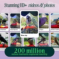 Mangeoire à oiseaux intelligente à énergie solaire Pro avec caméra et extension de perchoir de Bird Buddy - Bleu - Partenaire de détail exclusif