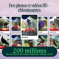 Mangeoire à oiseaux intelligente à énergie solaire Pro avec caméra et extension de perchoir de Bird Buddy - Bleu - Partenaire de détail exclusif