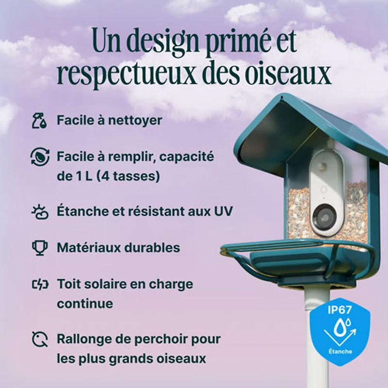 Mangeoire à oiseaux intelligente à énergie solaire Pro avec caméra et extension de perchoir de Bird Buddy - Bleu - Partenaire de détail exclusif
