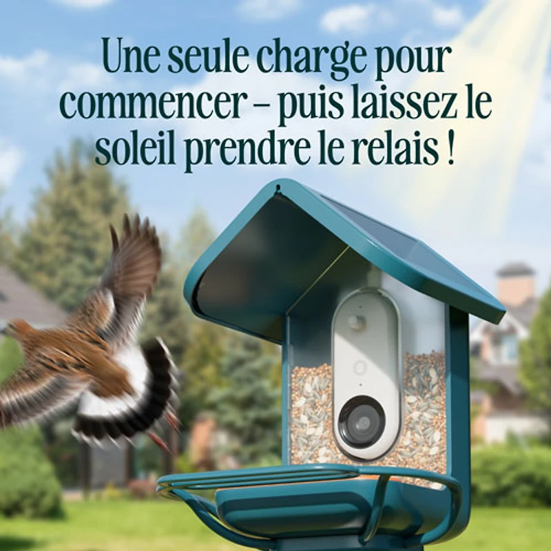 Mangeoire à oiseaux intelligente à énergie solaire Pro avec caméra et extension de perchoir de Bird Buddy - Bleu - Partenaire de détail exclusif
