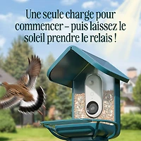 Mangeoire à oiseaux intelligente à énergie solaire Pro avec caméra et extension de perchoir de Bird Buddy - Bleu - Partenaire de détail exclusif