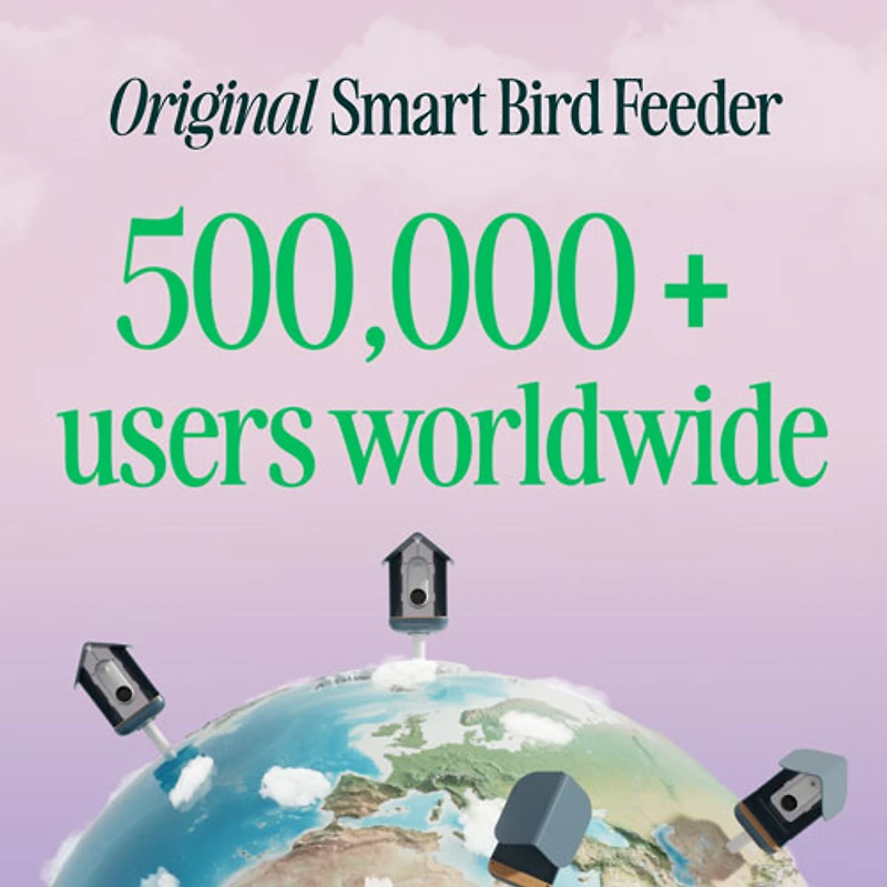 Mangeoire à oiseaux intelligente à énergie solaire Pro avec caméra et extension de perchoir de Bird Buddy - Bleu - Partenaire de détail exclusif