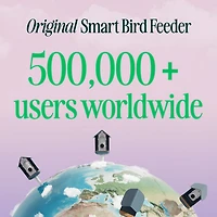 Mangeoire à oiseaux intelligente à énergie solaire Pro avec caméra et extension de perchoir de Bird Buddy - Bleu - Partenaire de détail exclusif