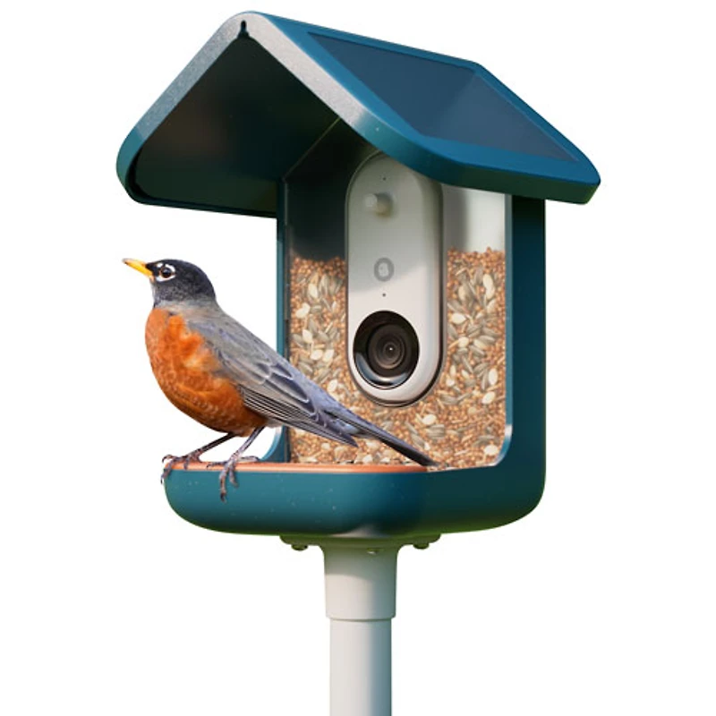 Mangeoire à oiseaux intelligente à énergie solaire Pro de Bird Buddy - Bleu - Partenaire de détail exclusif