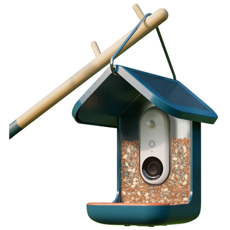 Mangeoire à oiseaux intelligente à énergie solaire Pro de Bird Buddy - Bleu - Partenaire de détail exclusif