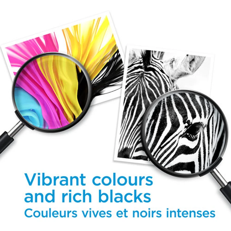 Cartouche d'encre couleur/noire 923 de HP (6C3Y6LN)