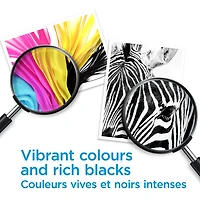 Cartouche d'encre couleur/noire 923 de HP (6C3Y6LN)