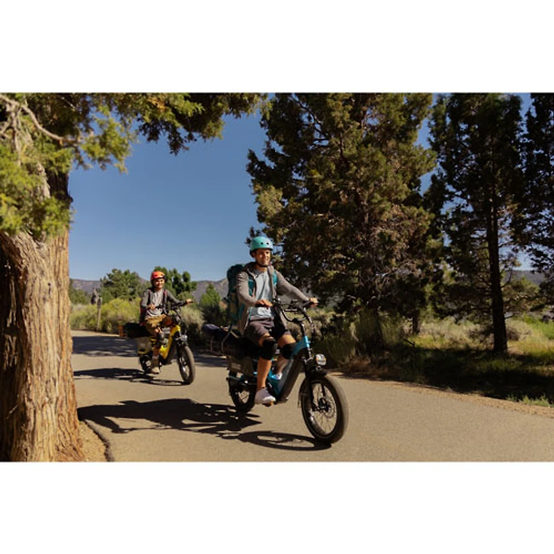 Heybike Hauler Fat-Tire Electric Cargo Bike (750W Motor / 140 km Range / 45 km/h Top Speed