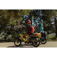 Heybike Hauler Fat-Tire Electric Cargo Bike (750W Motor / 140 km Range / 45 km/h Top Speed