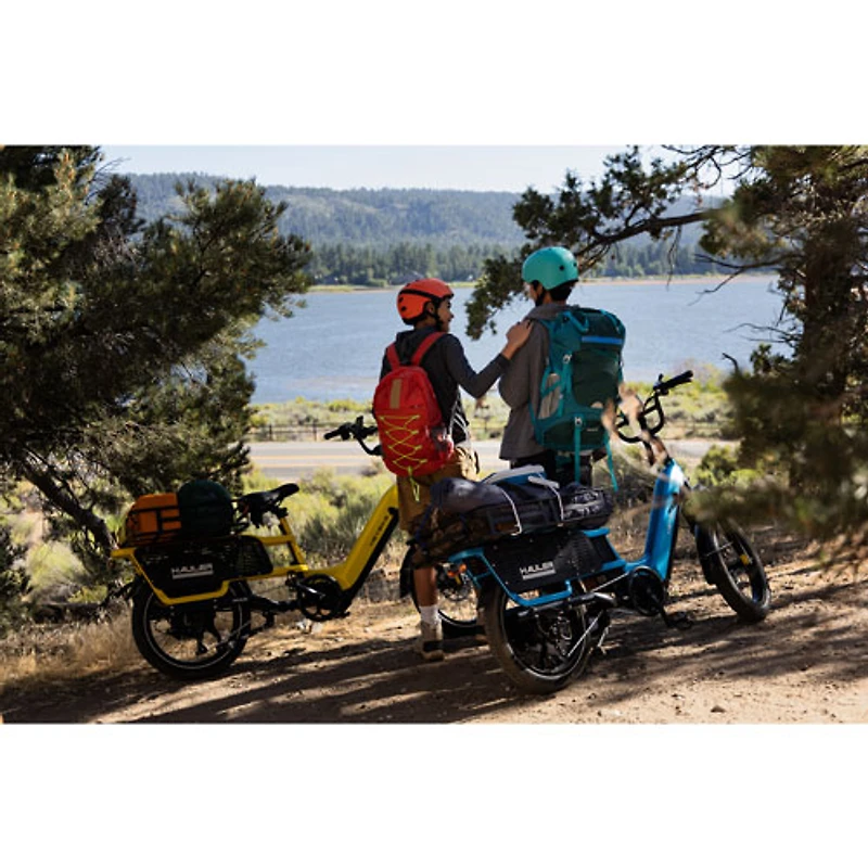 Heybike Hauler Fat-Tire Electric Cargo Bike (750W Motor / 140 km Range / 45 km/h Top Speed