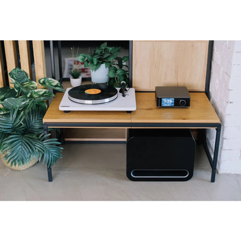 Haut-parleur d'extrêmes graves sans fil 8 po 250 W Sub Pro de WiiM - Noir très lustré