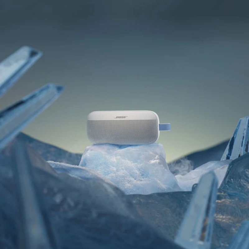 Haut-parleur sans fil Bluetooth résistant à l'eau SoundLink Flex de Bose (2e génération) - Gris brouillard