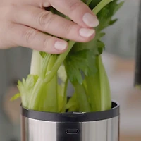 Remis à neuf (Bon état) - Centrifugeuse Juice Fountain Cold Plus de Breville - Acier inoxydable brossé - Réusiné par Breville