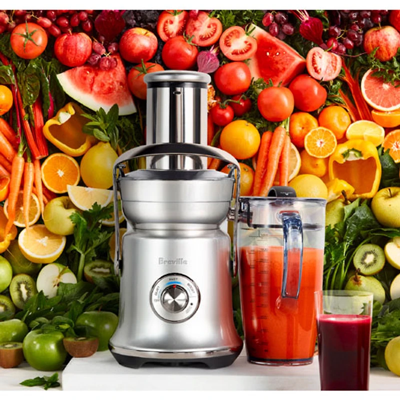 Remis à neuf (Bon état) - Centrifugeuse Juice Fountain Cold XL de Breville - Coquille d'huitre - Réusiné par Breville