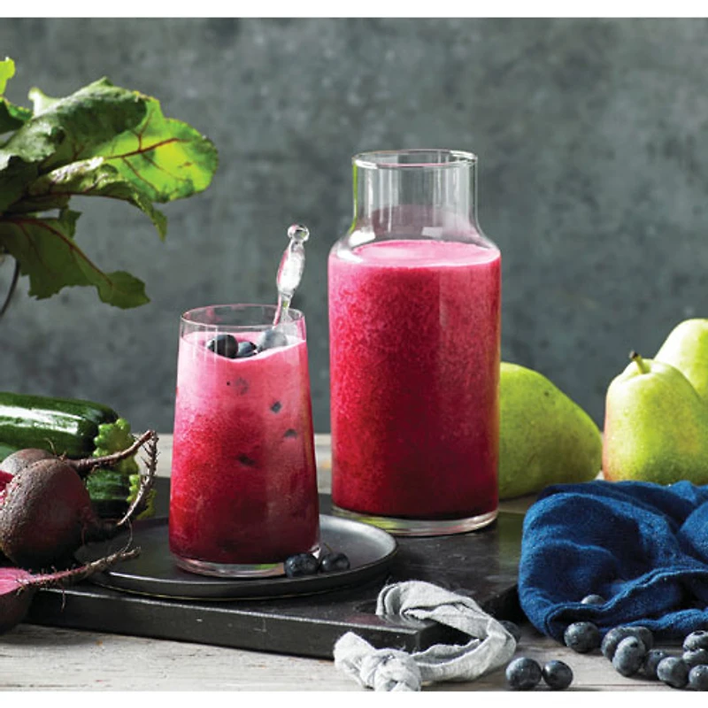 Remis à neuf (Bon état) - Centrifugeuse Juice Fountain Cold XL de Breville - Coquille d'huitre - Réusiné par Breville