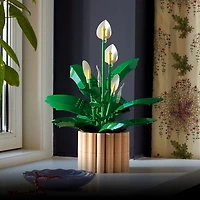 LEGO Botanicals: Peace Lily - 474 Pieces (11504)