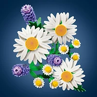 LEGO Botanicals: Daisies - 133 Pieces (11508)