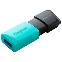 Kingston DataTraveler Exodia M 256GB USB 3.2 Flash Drive - Black/Teal