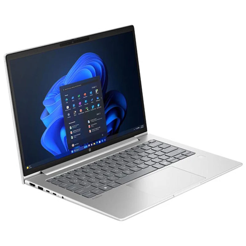 Portable professionnel 14 po ProBook 4 G1a IA de HP - Argent vif (Ryzen 5-220 d'AMD/RAM 16 Go/SSD 512 Go/Windows 11 Professionnel) - Anglais